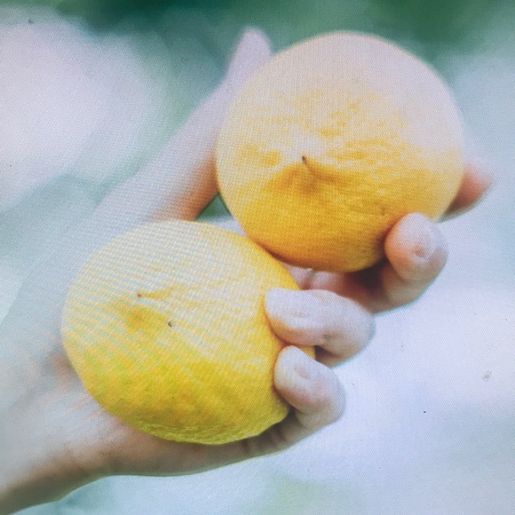 Meet your Posher, Malcolm - Picture 1 of 1